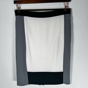 Narciso Rodriguez Colorblock Zipper Pencil Skirt